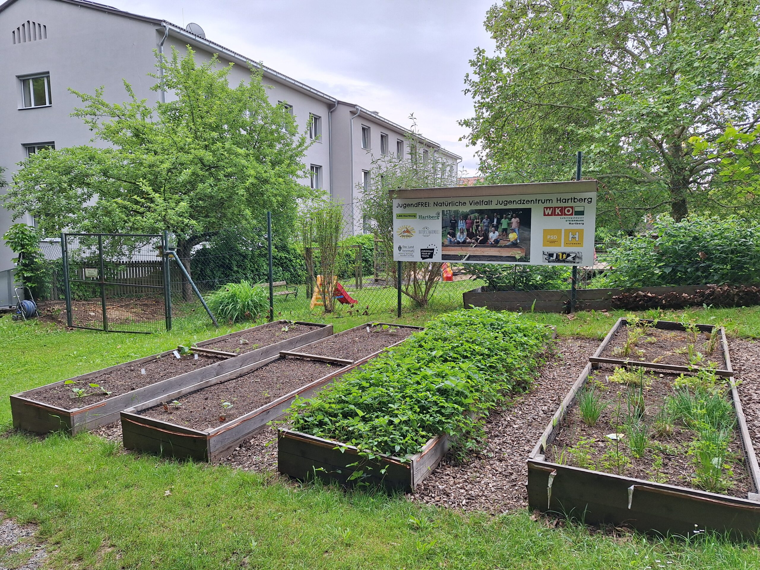 Grünflächenprojekt im Lehrlingshaus